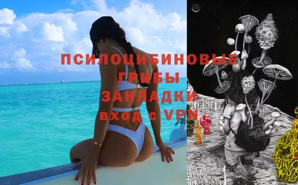 гидра Ростов