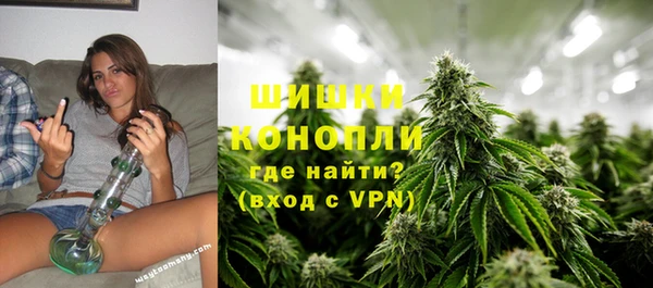 амф Аркадак