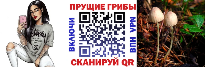 Галлюциногенные грибы GOLDEN TEACHER  mega tor  Арсеньев  цена  